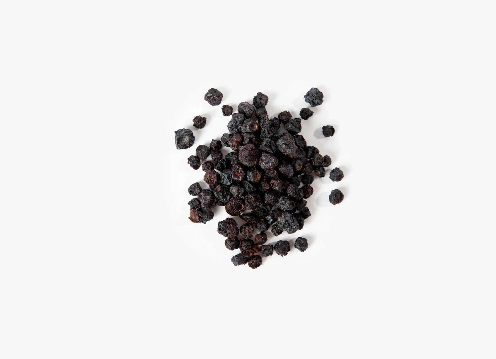 Belligerent Blueberry 2 OZ 6-Pack